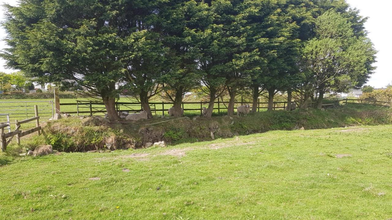 Cornish Skies Glamping Pool Extérieur photo