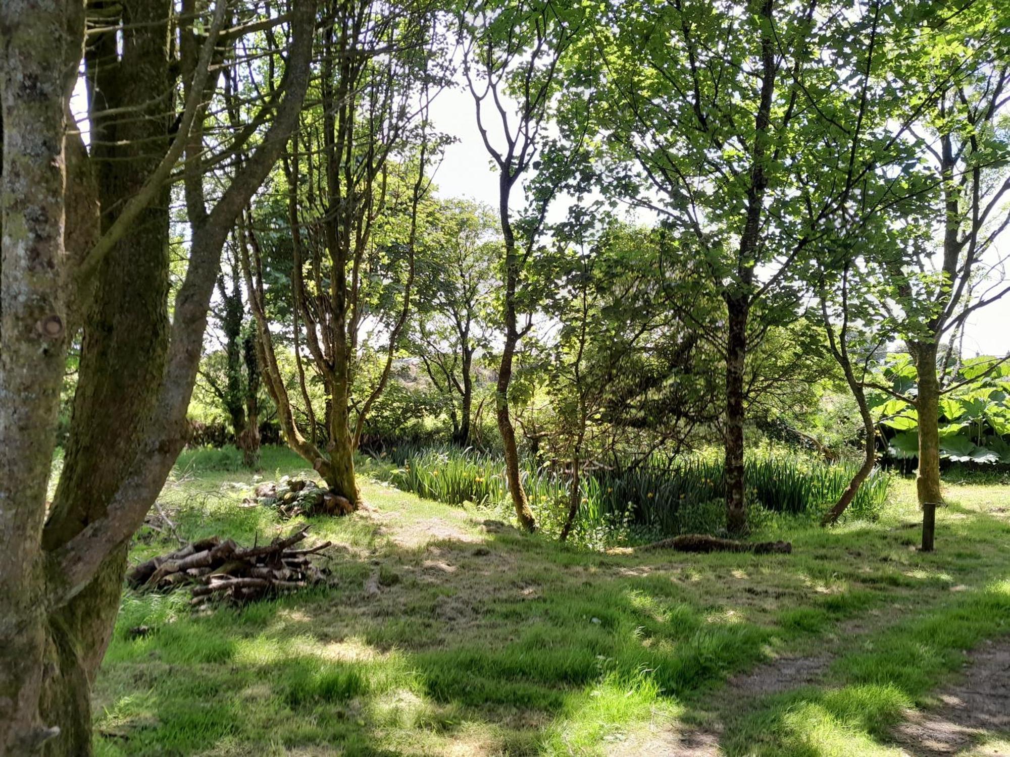Cornish Skies Glamping Pool Extérieur photo